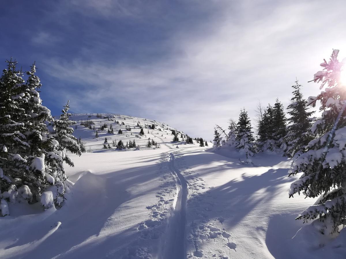 Premium Appartements Sonnenbahn Sankt Michael im Lungau Eksteriør bilde